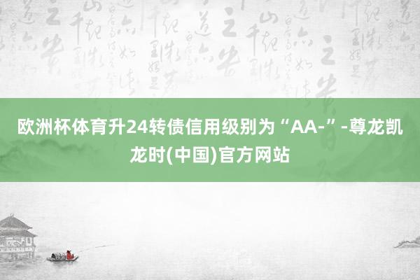 欧洲杯体育升24转债信用级别为“AA-”-尊龙凯龙时(中国)官方网站